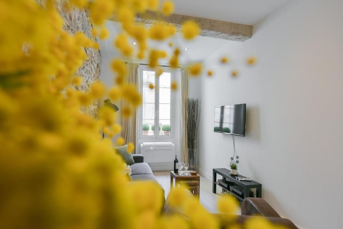 Vieux Murs - Brand New Flat For 4, Ac, Wifi Center Old Antibes